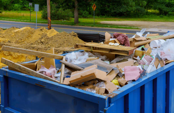 Best Shed Removal  in Fort Llins, CO